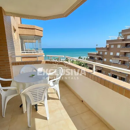 Gema Home, 1ªlinea, Magic World * El Borseral